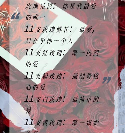 玫瑰花种类有哪些寓意？不同玫瑰代表什么？