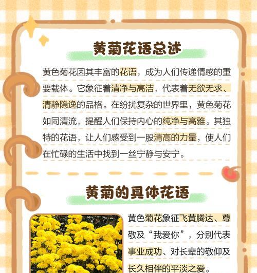 菊花的花语代表了什么？它象征着什么？