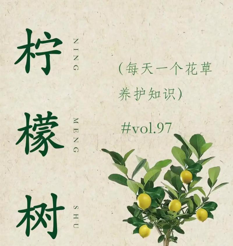 柠檬树需要哪些养护技巧？怎样才能结果？