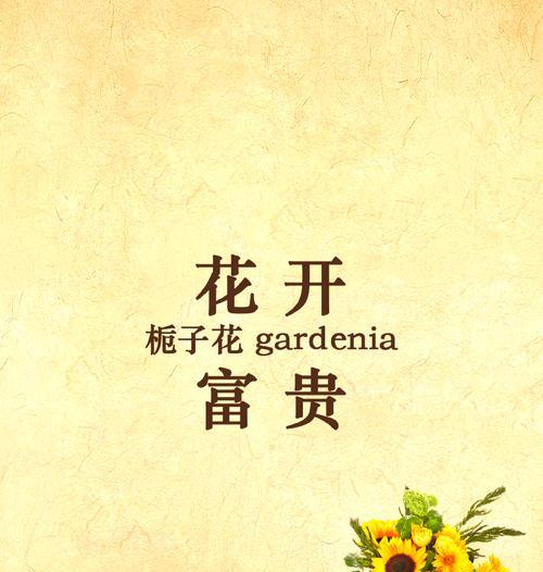 栀子花的花语是什么？栀子花代表了哪些情感？
