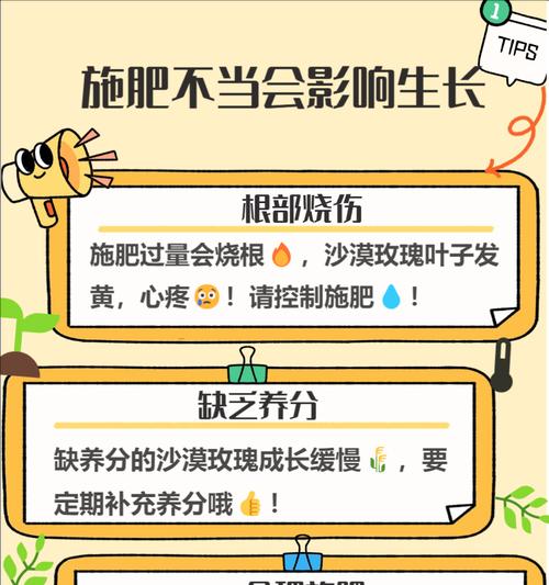 黄黄的叶子像什么植物？叶子变黄的原因是什么？