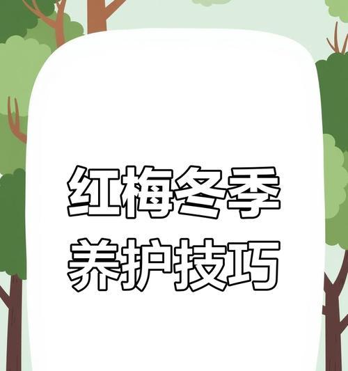 梅花的养殖方法有哪些？如何确保梅花顺利开花？