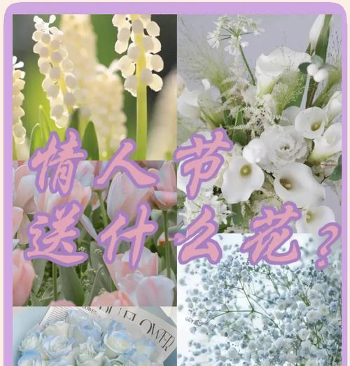 花语“我的眼里全是你”是什么意思？这句话表达了怎样的情感？