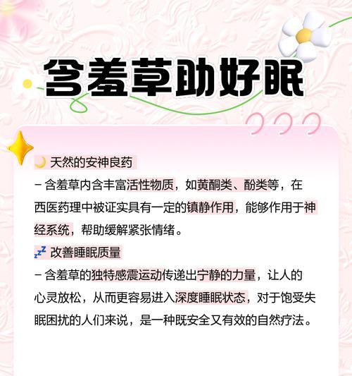 含羞草浇水需要注意什么？多久浇一次水合适？