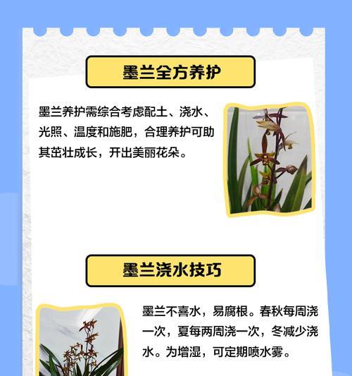 墨兰种植适合哪种土壤？