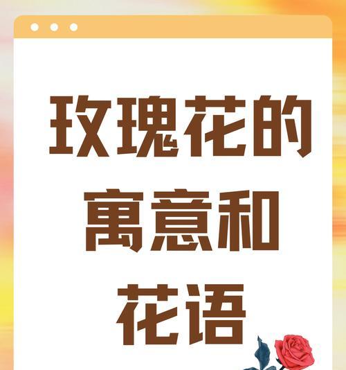 神奇玫瑰的花语有何不同？