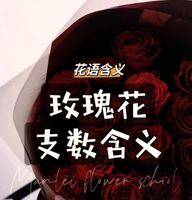 神奇玫瑰的花语有何不同？