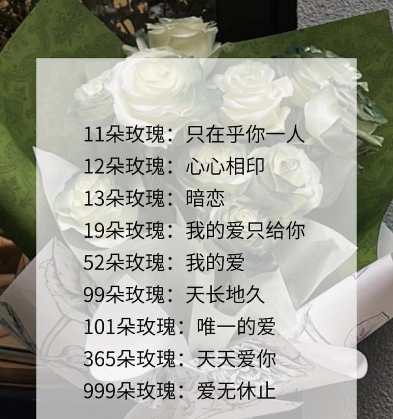 玫瑰花颜色变化背后的花语含义？