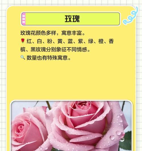 即逝的爱在花语中如何表达？它代表了哪种情感？
