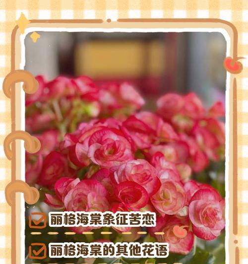 苦恋之类的花语有哪些？它们代表了怎样的情感？
