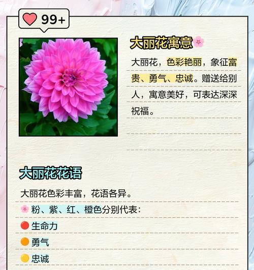 哪种花的花语是勇气？它代表了什么？