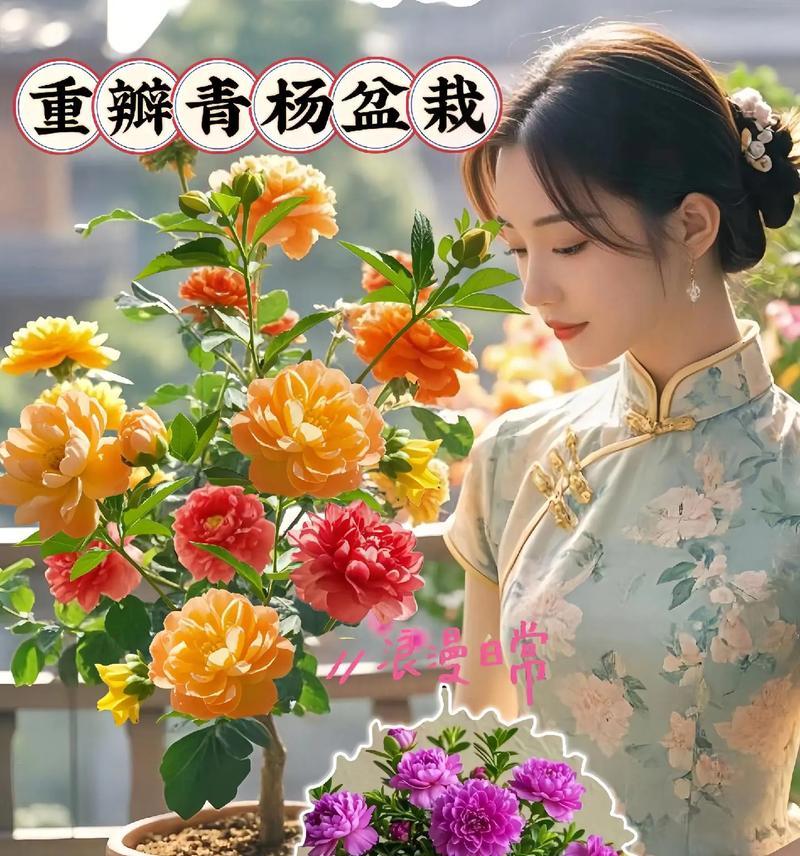 四季分别有哪些代表花卉？如何根据季节选择花卉？
