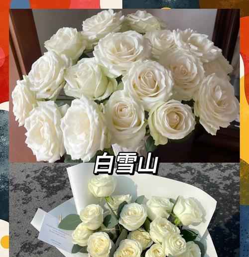 哪种玫瑰代表暗恋的花语？