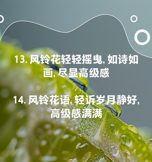 风铃花语是什么意思？风铃花在文化中代表了什么？