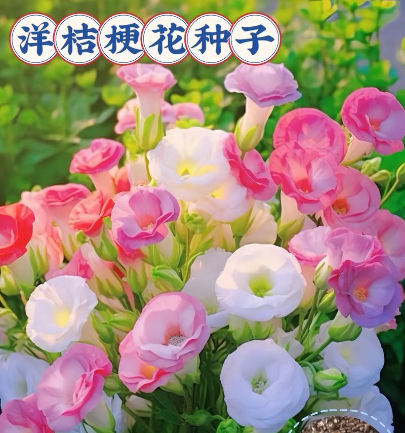 小绿花的花语是什么？它有哪些寓意？