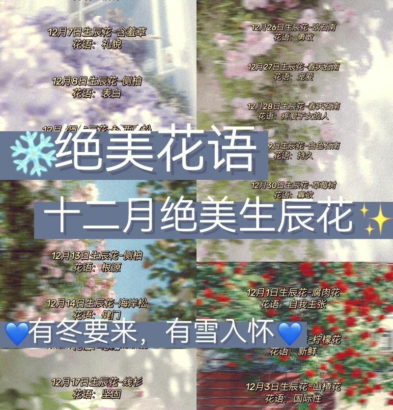 三朵莲花代表的花语是什么？