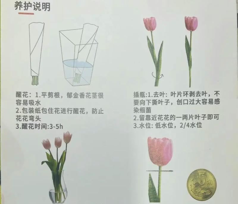 插花花泥的正确使用方法是什么？使用时应注意哪些事项？