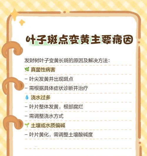 发财树叶子变黄的原因是什么？如何处理？