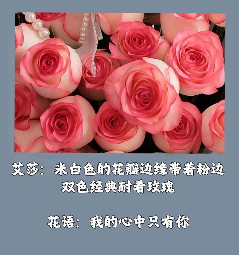 哪种花的花语是心里只有你？