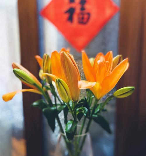 摇筛子的花语代表什么？它在花语中通常如何使用？