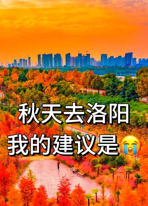 八大关枫叶何时变红？最佳观赏时间是什么时候？
