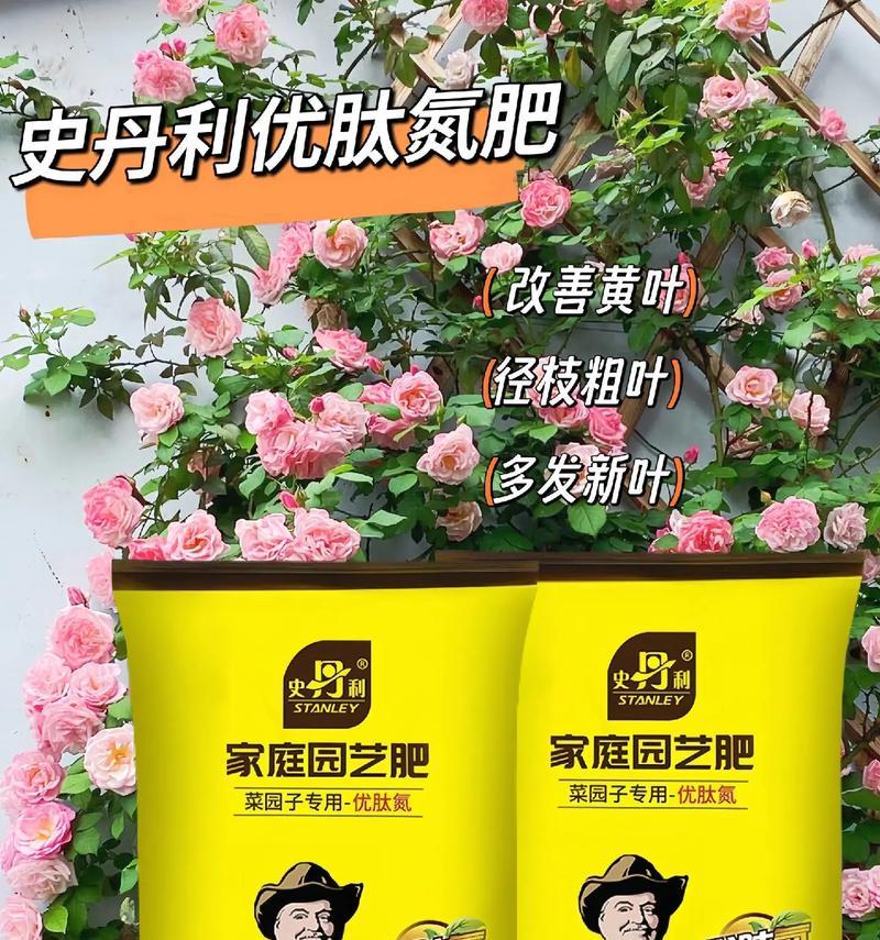 适合养花的氮肥种类是什么？氮肥使用过量怎么办？