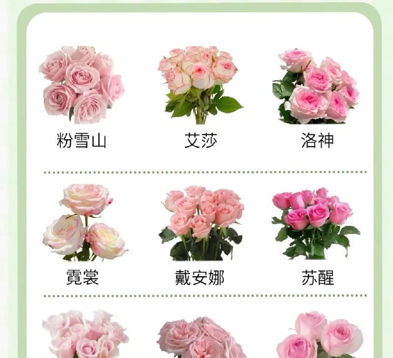 不同颜色玫瑰代表的花语是什么？玫瑰颜色与花语有何关联？