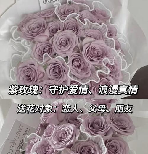 哪种玫瑰花寓意好适合送给朋友？
