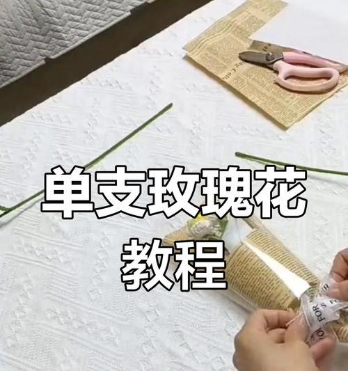 玫瑰花剪枝的最佳时机和步骤是什么？