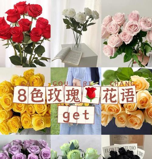 红玫瑰象征友谊的花语有哪些？