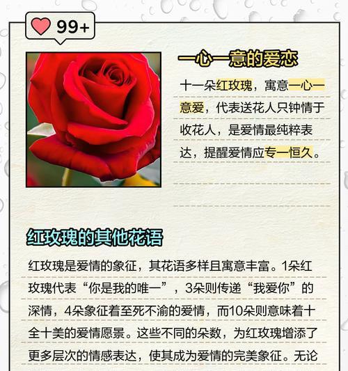 玫瑰花数量不同代表什么含义？每朵玫瑰都有什么特别的花语？