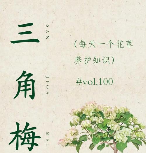 德国三角梅的养护技巧有哪些？怎样才能养得更好？