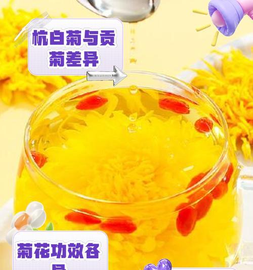 雏菊和杭菊的花语有何不同？各自代表了什么？