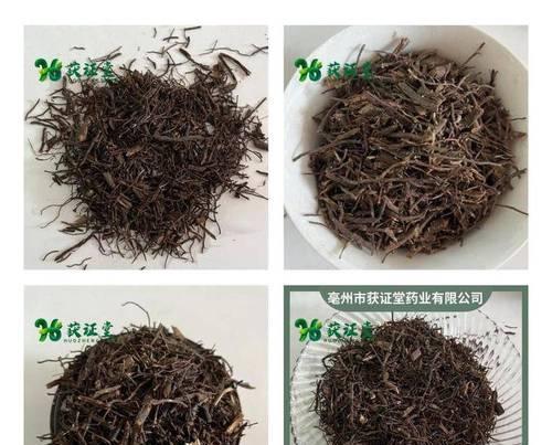 榕树须对哪些病症有疗效？榕树须的正确使用方法是什么？