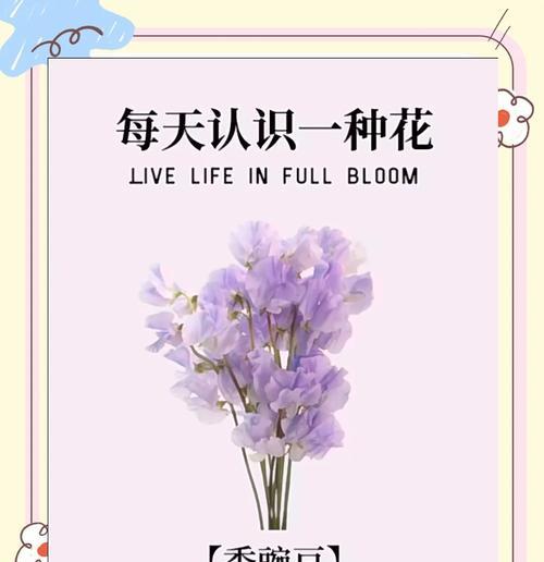 甜香花代表的含义是什么？