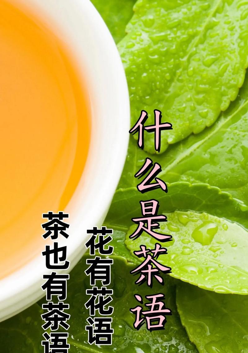 未说出口的花语有哪些？花语如何表达未言之情？