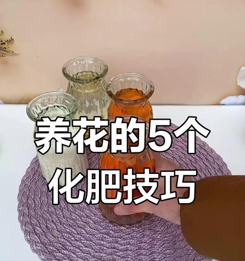 家庭养花应该使用哪种肥料？如何正确施肥？