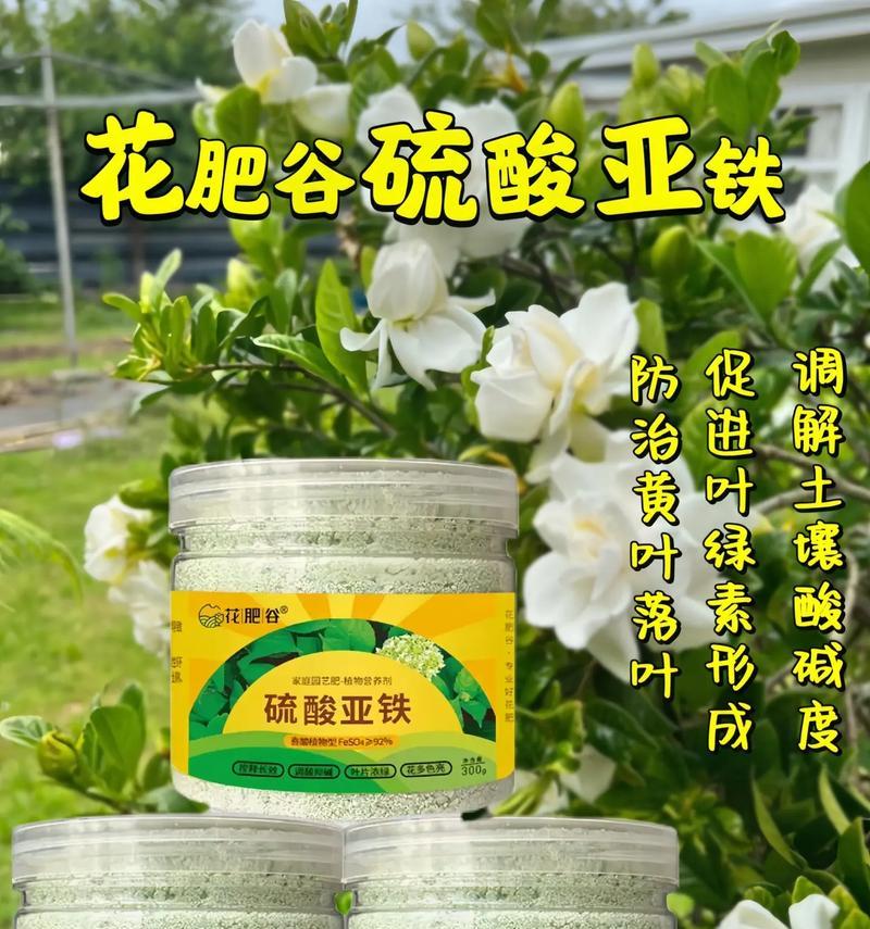 家庭养花应该使用哪种肥料？如何正确施肥？