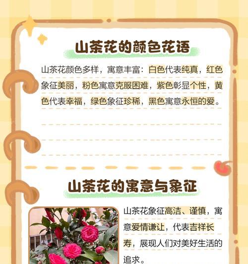 未说出口的花语有哪些？花语如何表达未言之情？