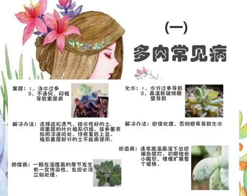 多肉植物生虫了怎么处理？