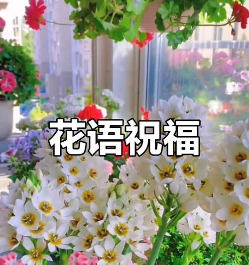 大蒜苗的花语是什么？大蒜苗在花语中代表什么？