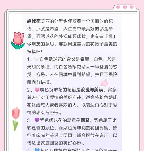 绣球花在晚会上有何寓意？