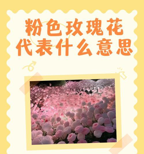 酒红玫瑰花寓意什么含义？它代表了哪种情感？