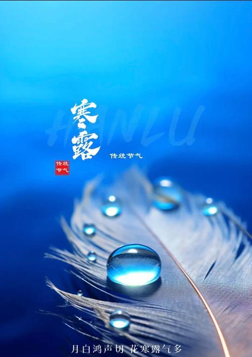 快乐平安的花语是什么？它传递了怎样的祝福？