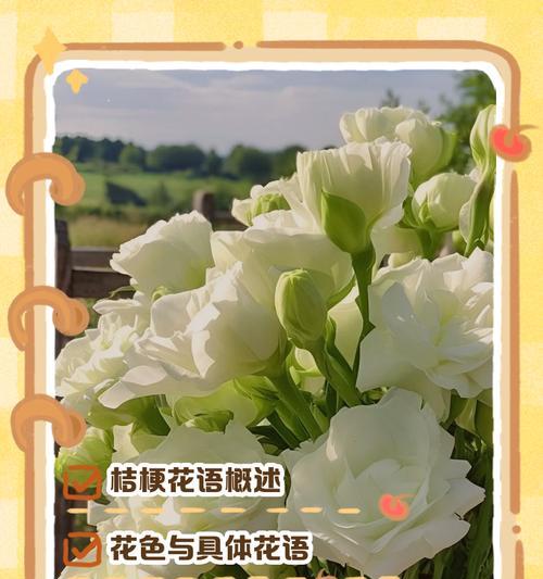 花影花语是什么意思啊网络用语？好几束花的花语又是什么呢？