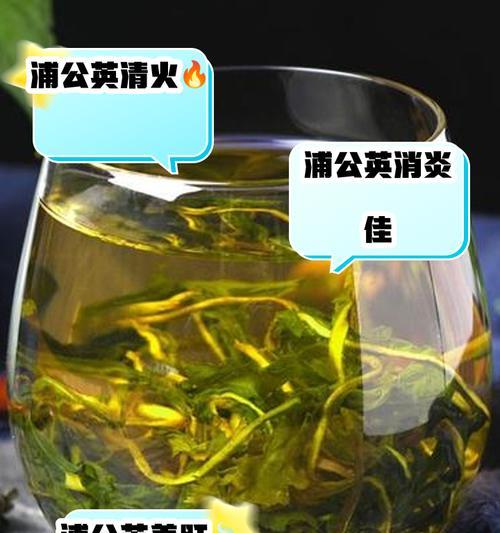 蒲公英叶子的特征是什么？如何识别蒲公英？