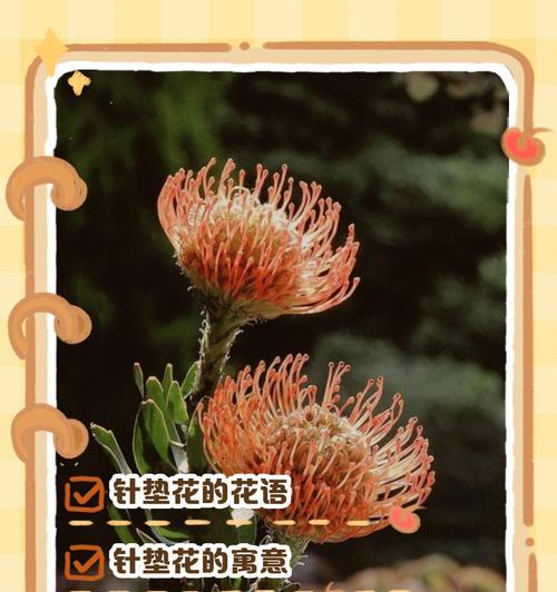 浩瀚花语中包含哪些花的名字？