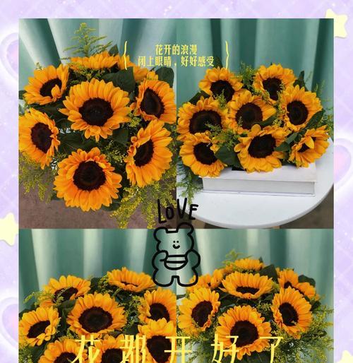送花给生病的人有何特别的花语？