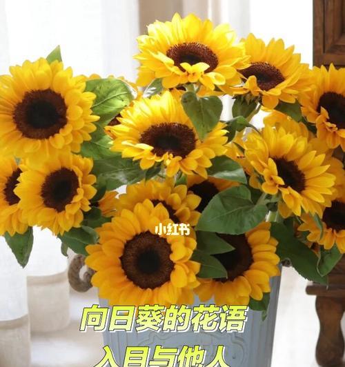 送花给生病的人有何特别的花语？