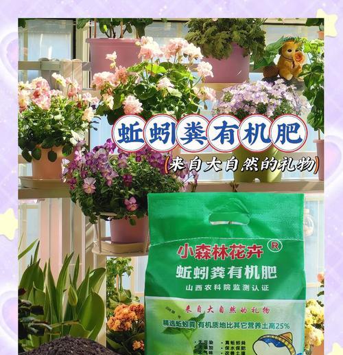 哪种土壤最适合种植花卉？如何选择适合的土壤类型？